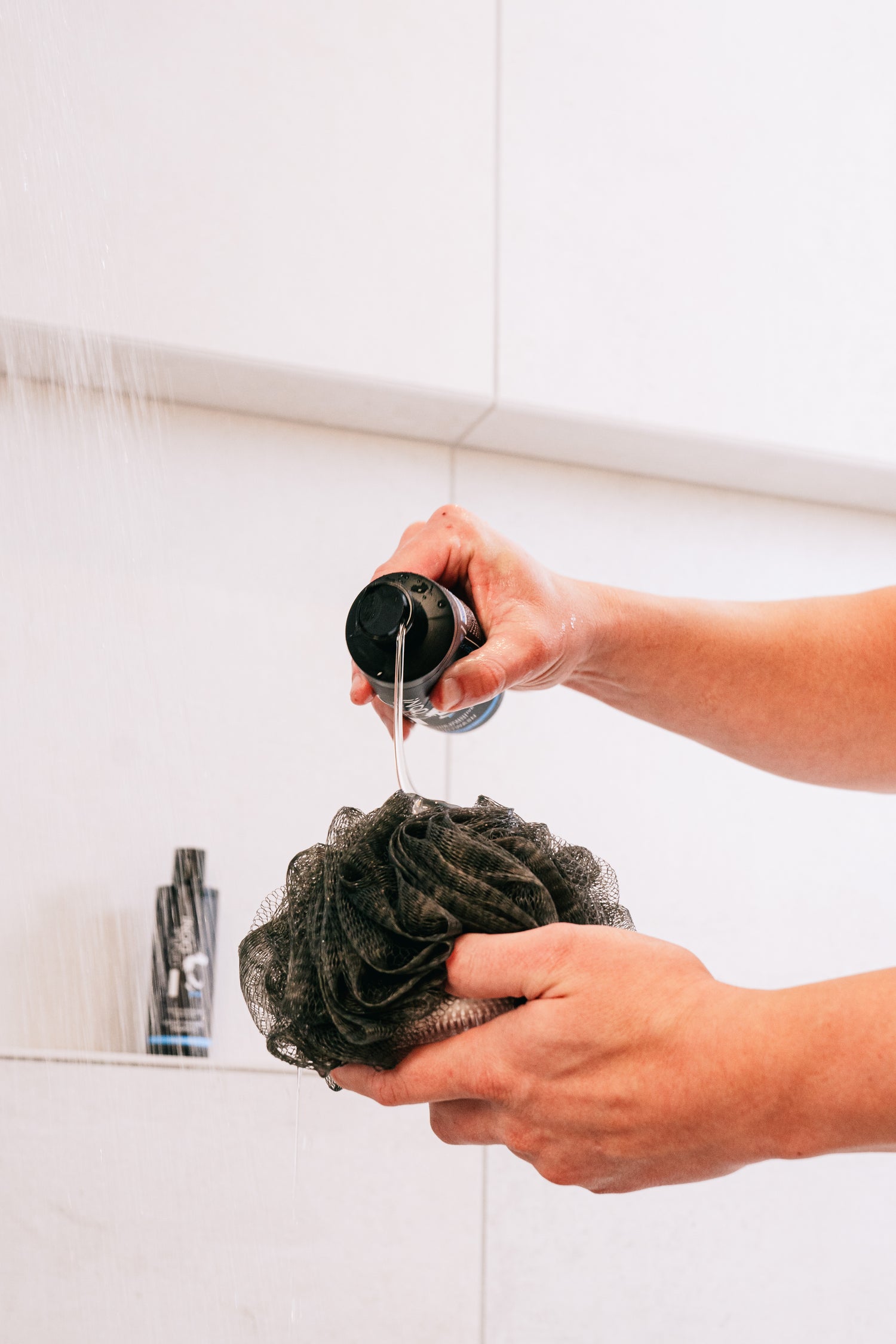 The Signature Bundle